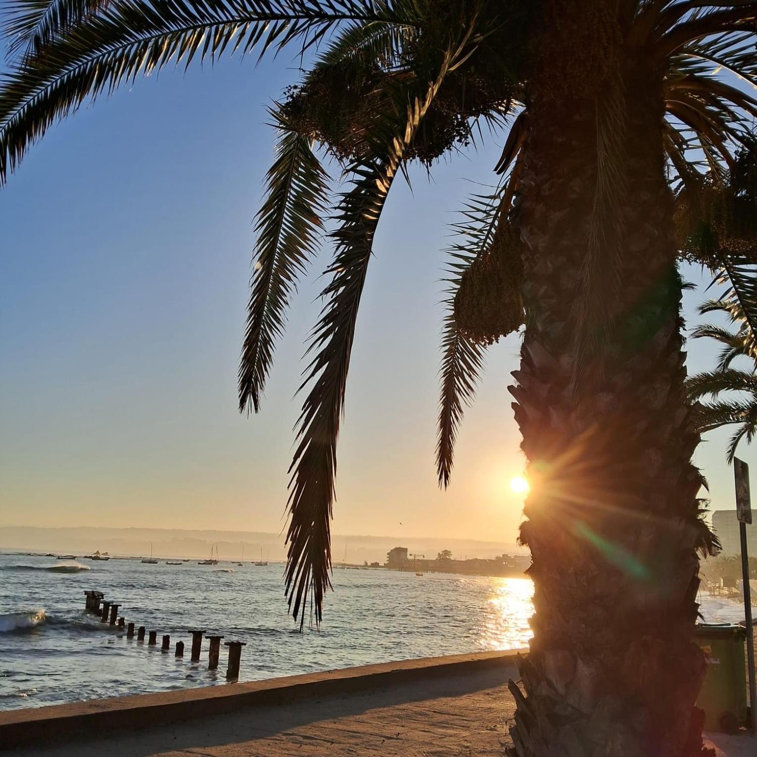 Cabañas Artelie Algarrobo