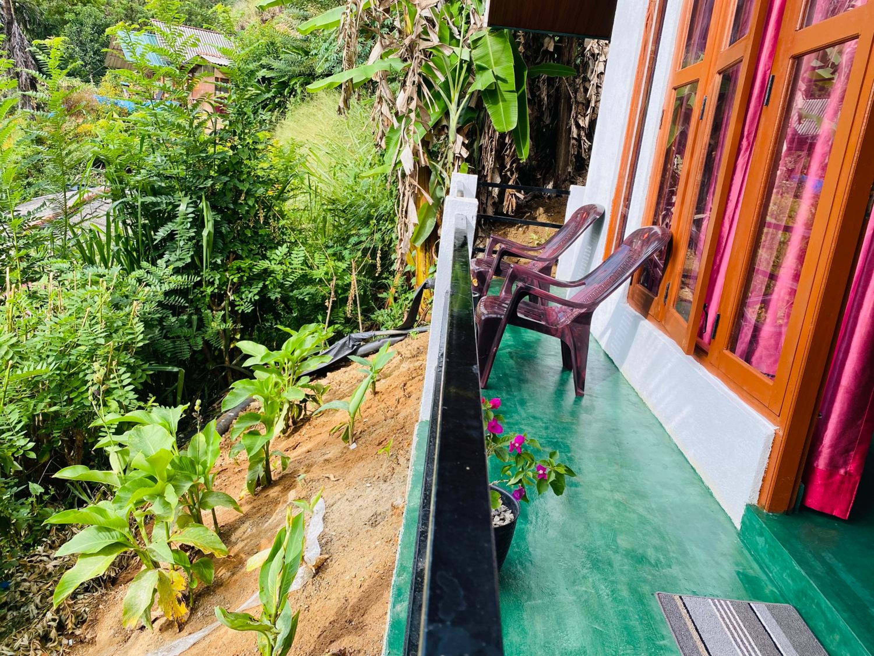 Hello home stay view 5