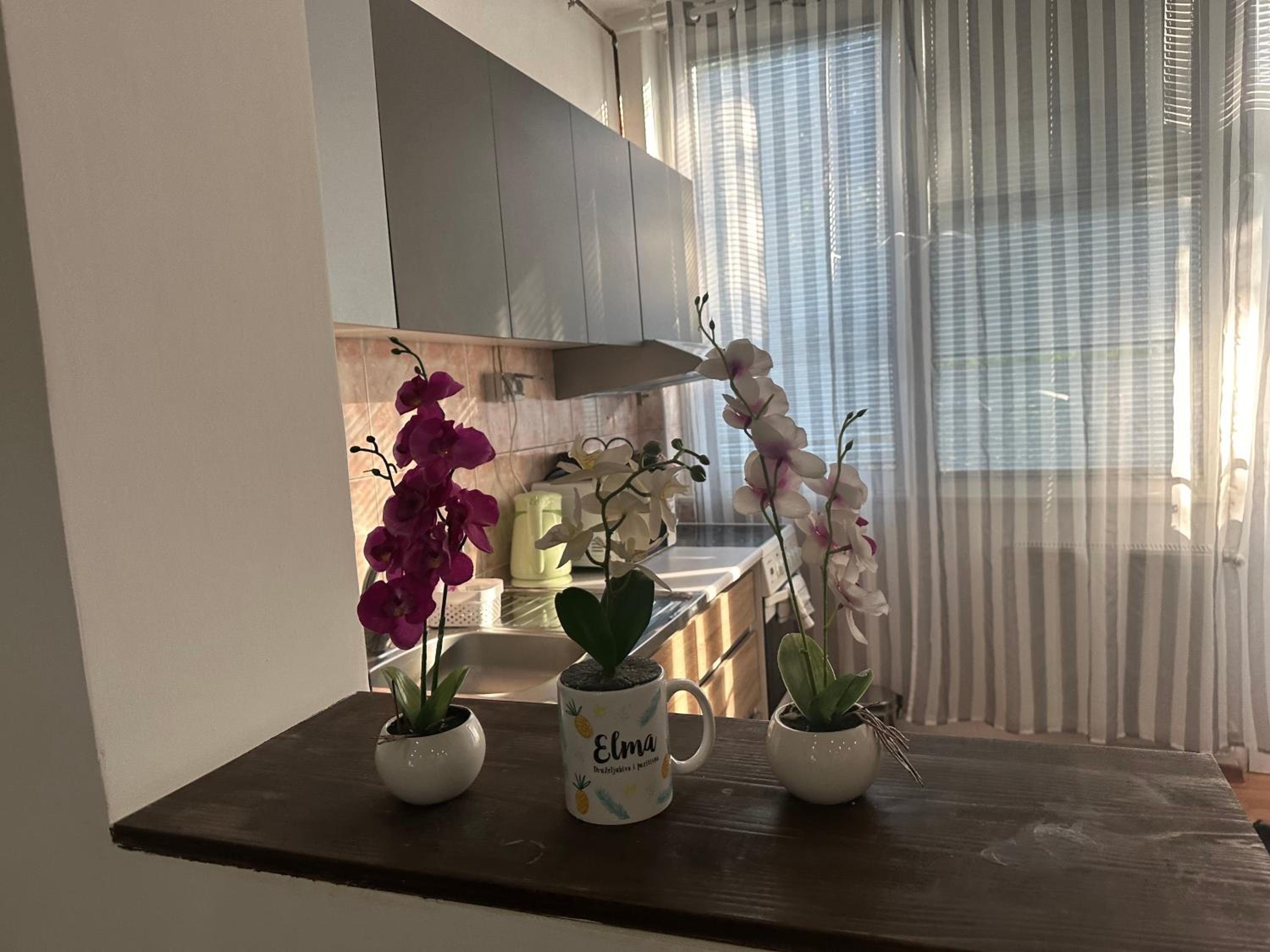 Elma Apartments