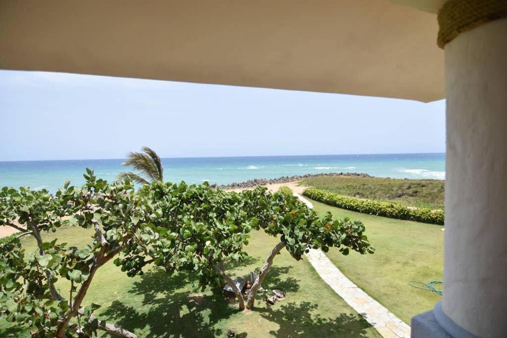 Bluefish Condo, Ocean Front, Sunrises, Pool, Hot Tub, Under New Management