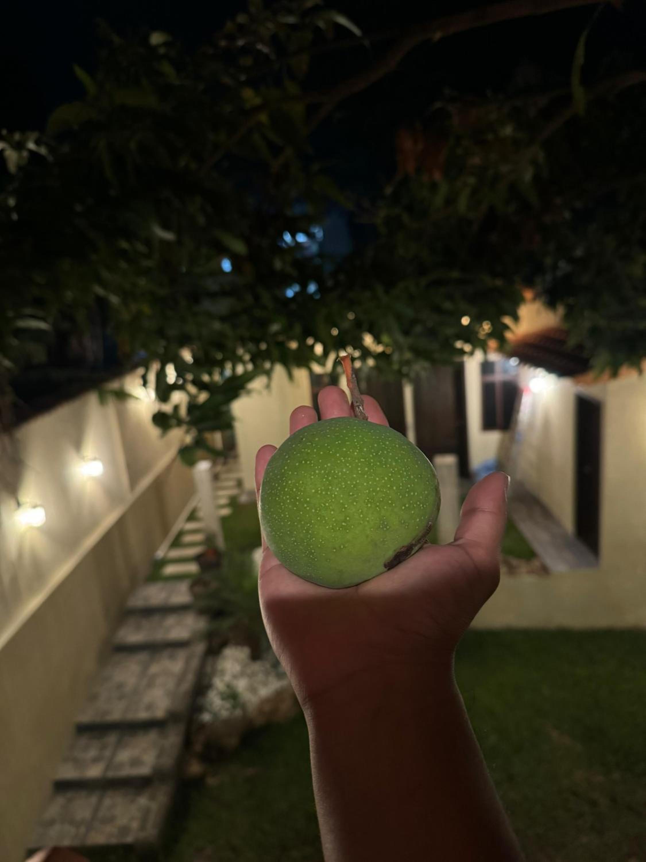 Photo 50