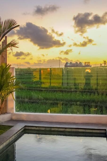 Villa Wilma - 3BR villa, ricefield & sunset view, near beach view 4