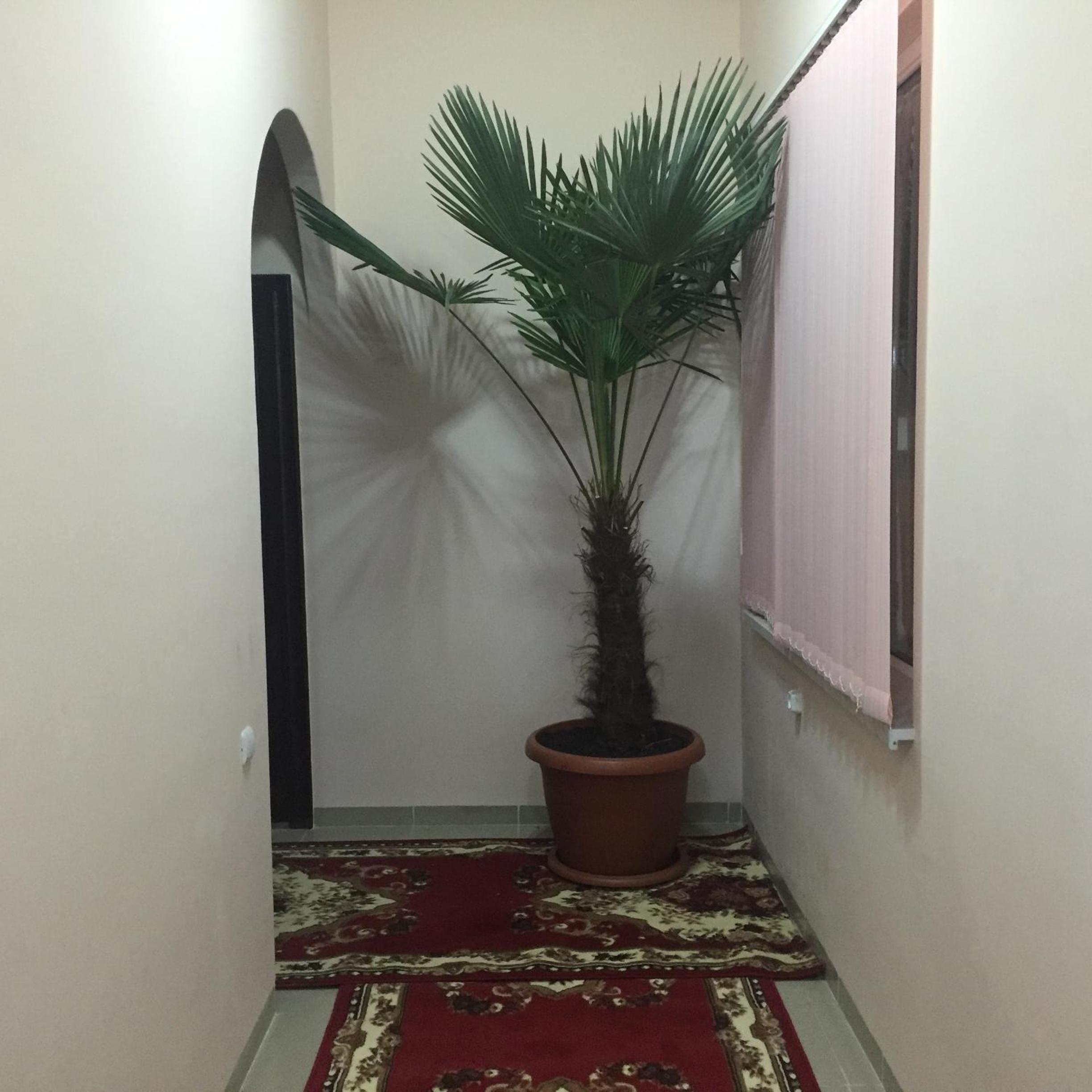 Anga Yerevan Apartments