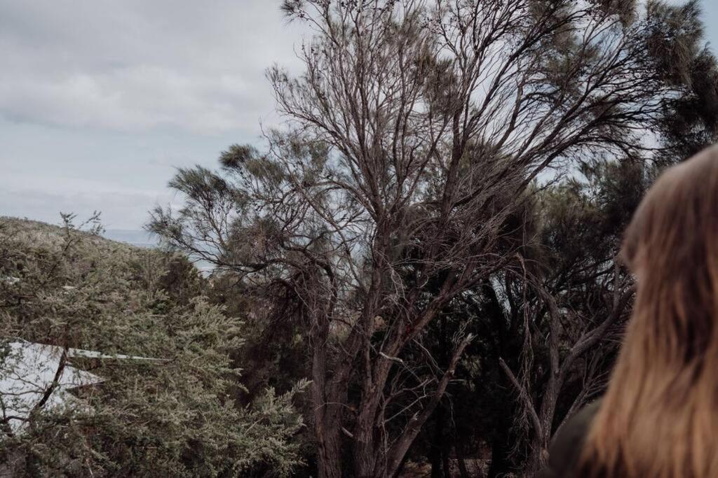 Beaumont at Freycinet