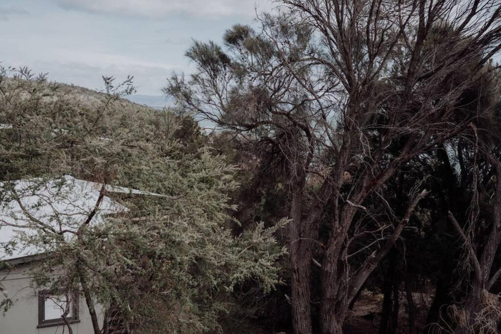 Beaumont at Freycinet