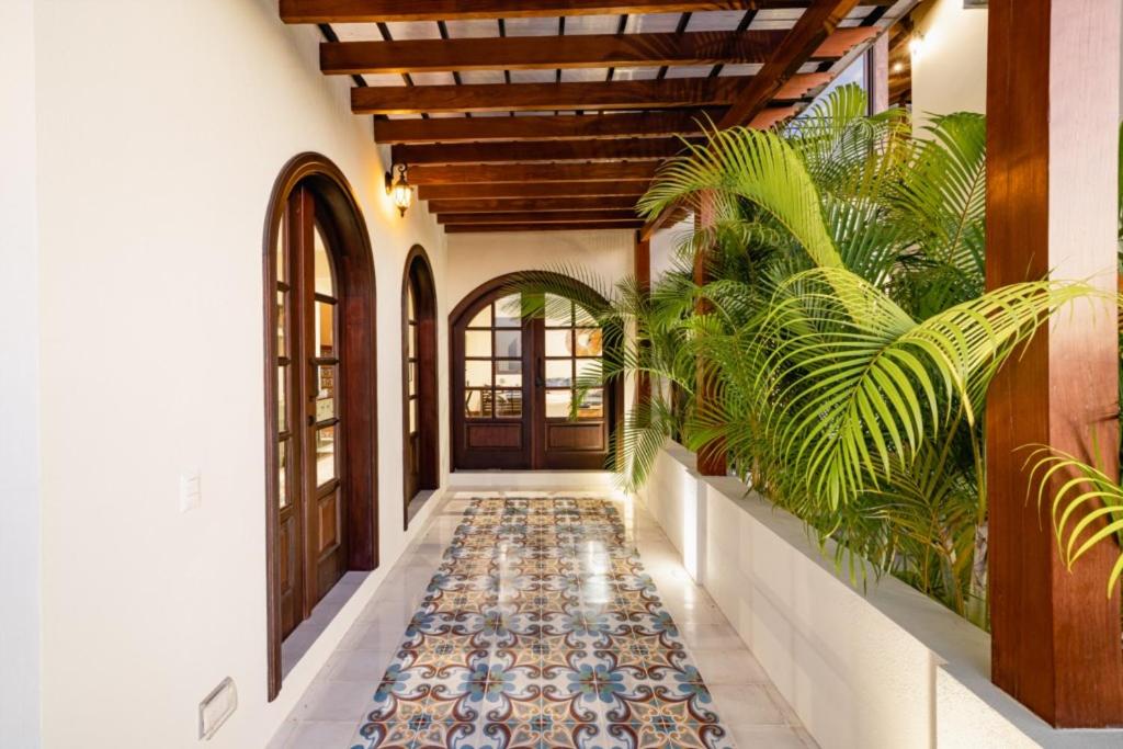 Casa Margarita Ocean View Villa W Infinity Pool
