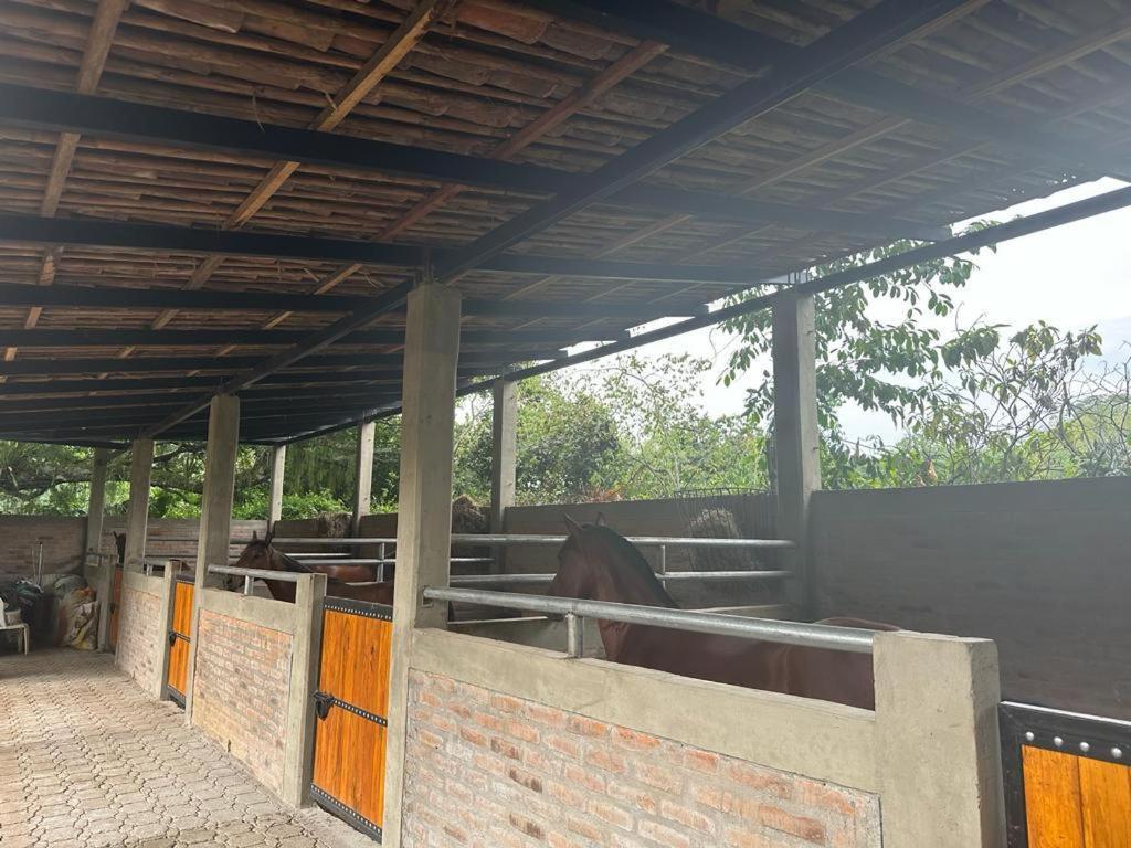 Finca la arboleda