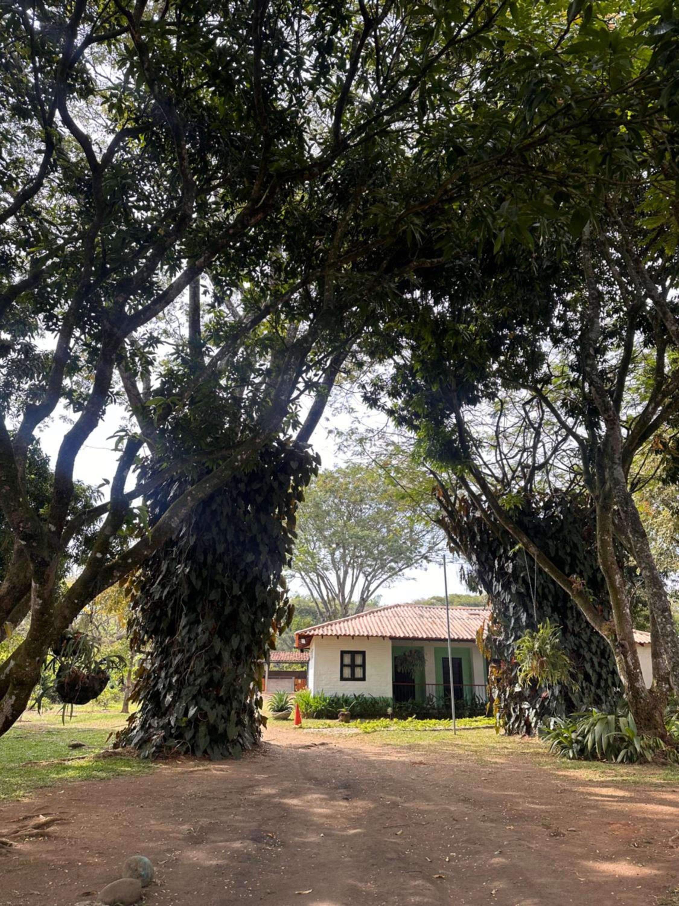 Finca la arboleda