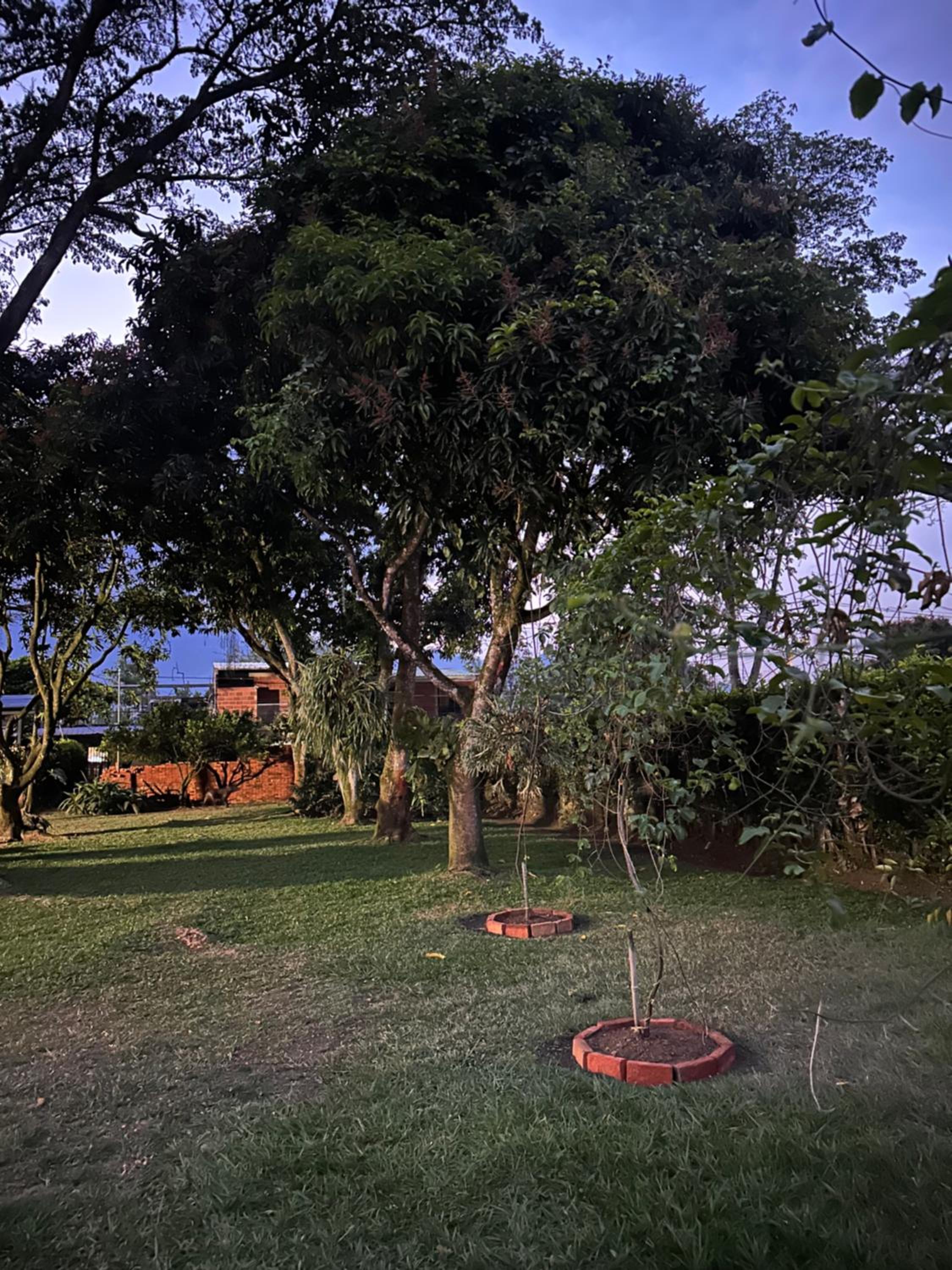 Finca la arboleda