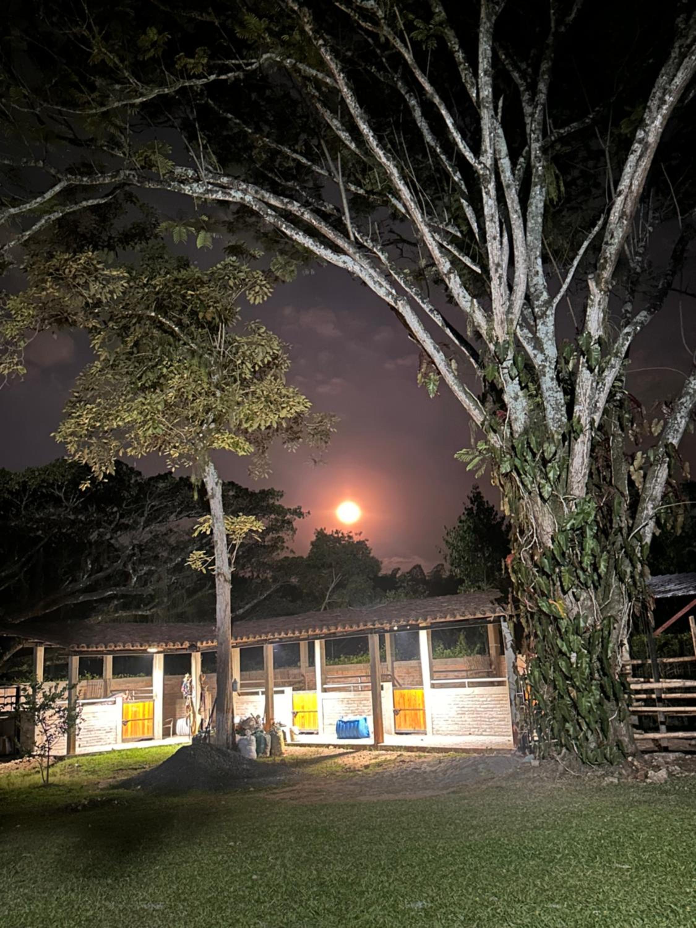 Finca la arboleda