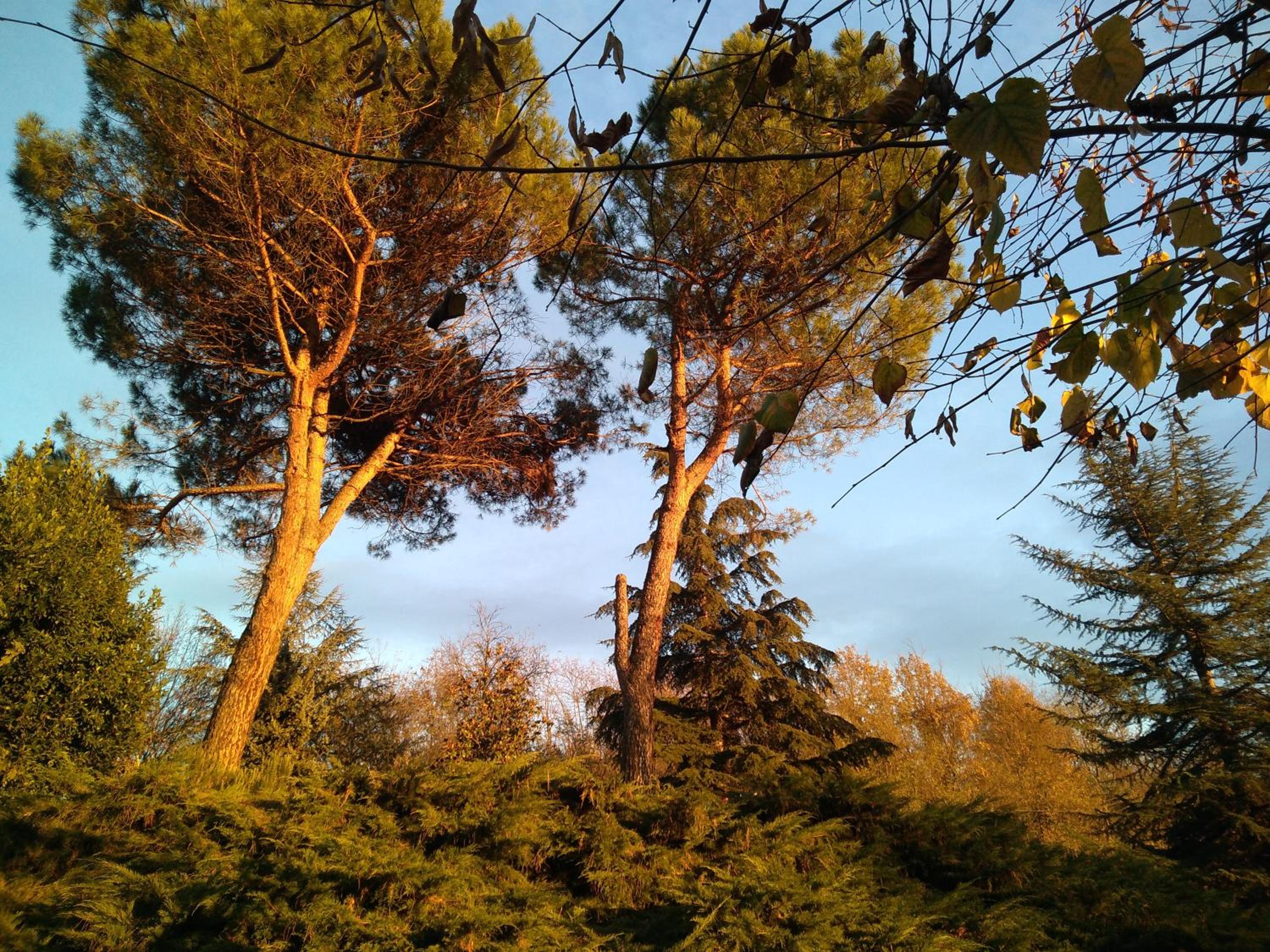 Photo 48