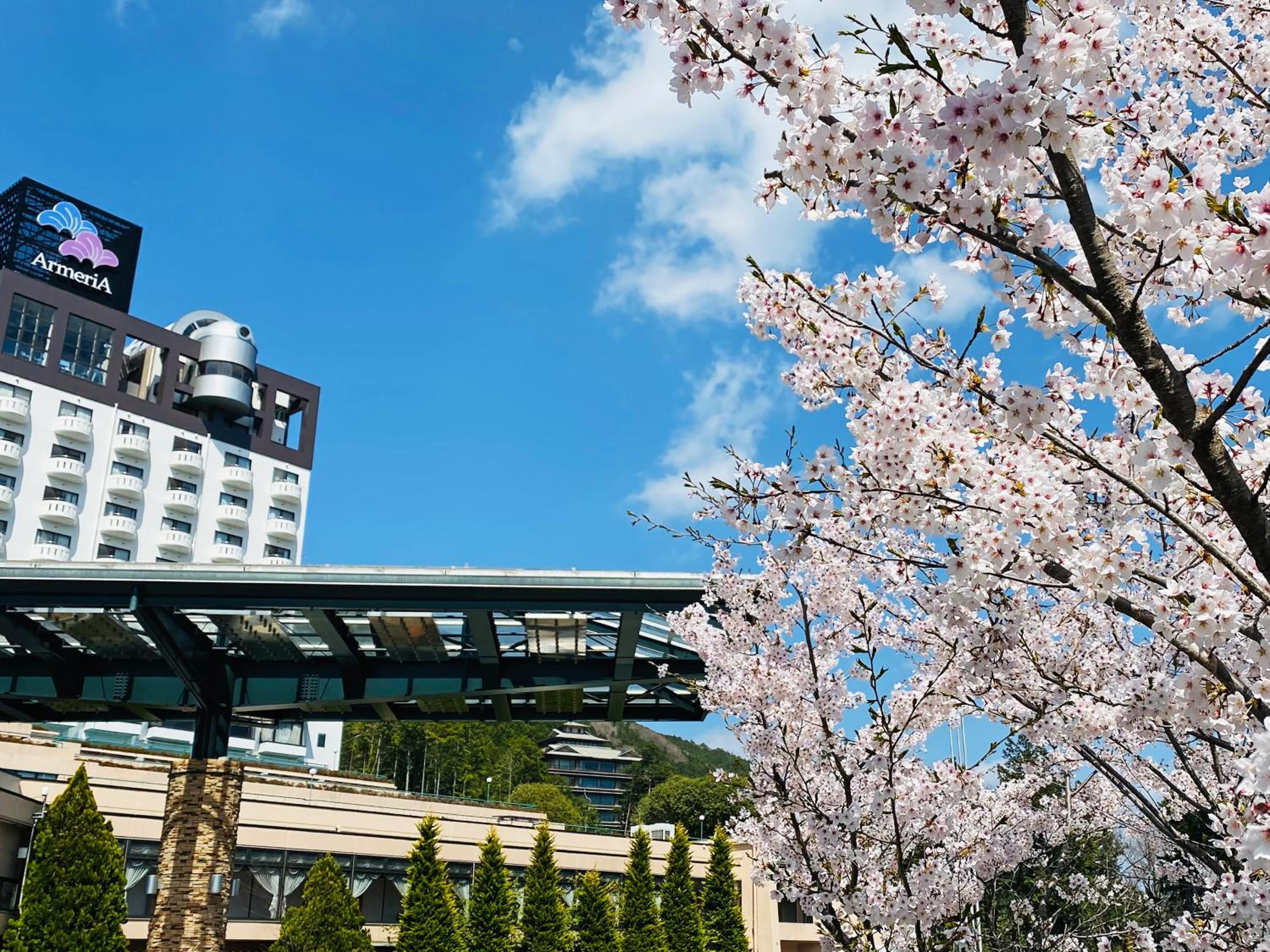 Hotel Kusakabe Armeria