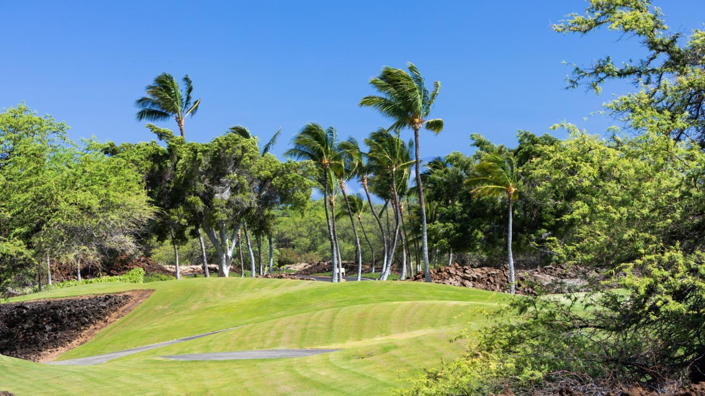 ❤PiH❤ DAYDREAM VILLA Hilton Resort Passes Bikes and Beach Gear view 5