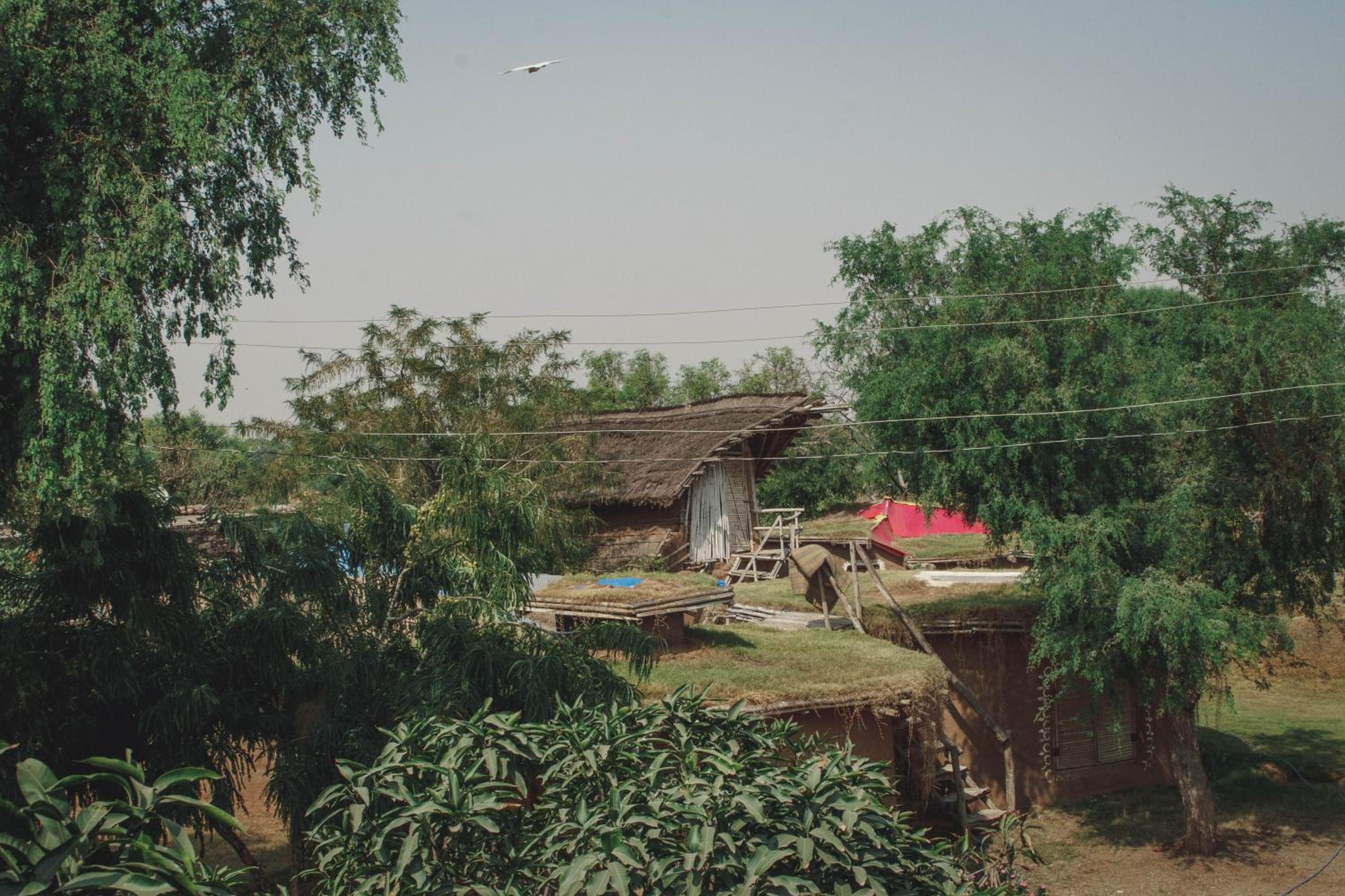 Vinyasa Earth view 2