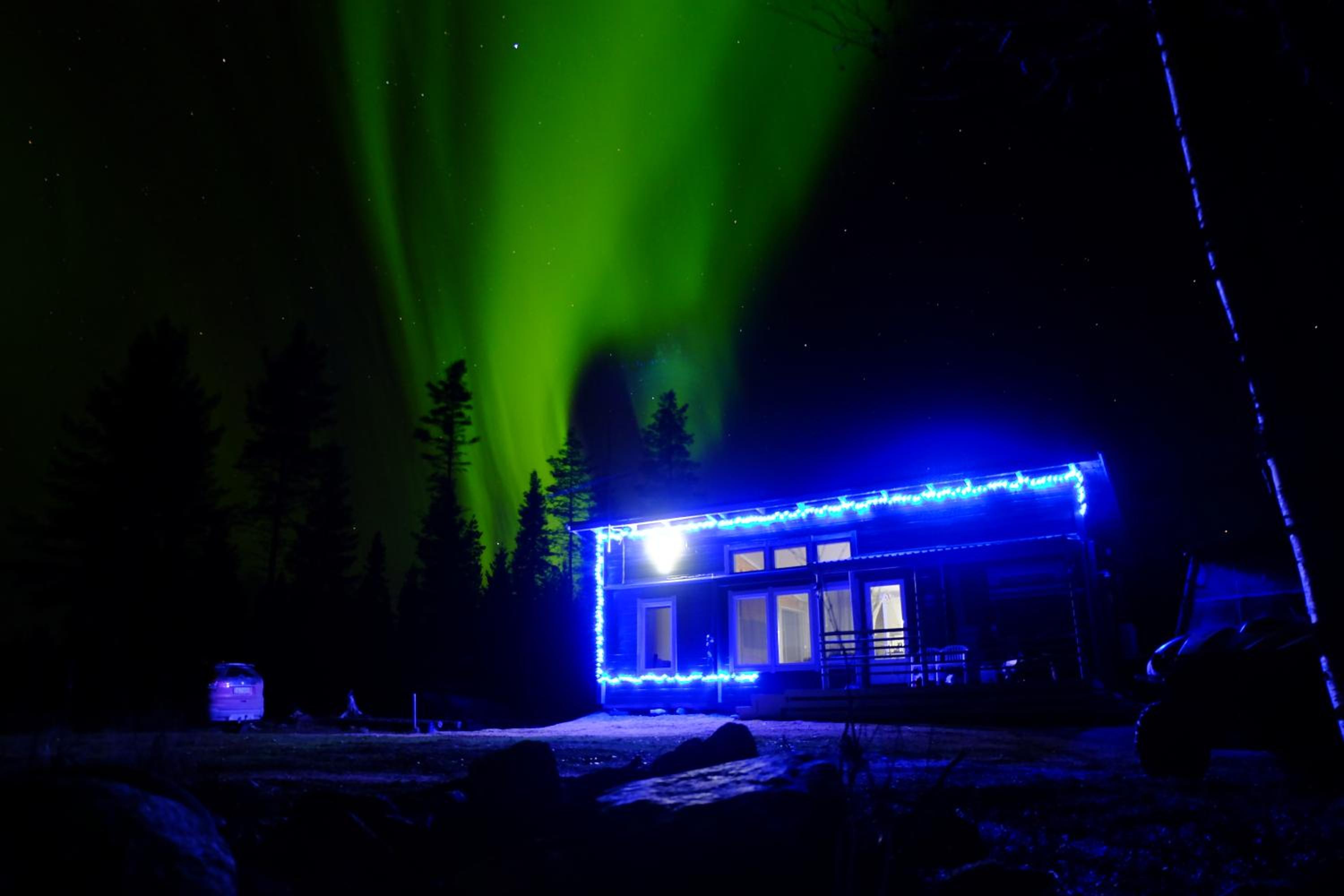 Santa's Reindeer Holiday Home