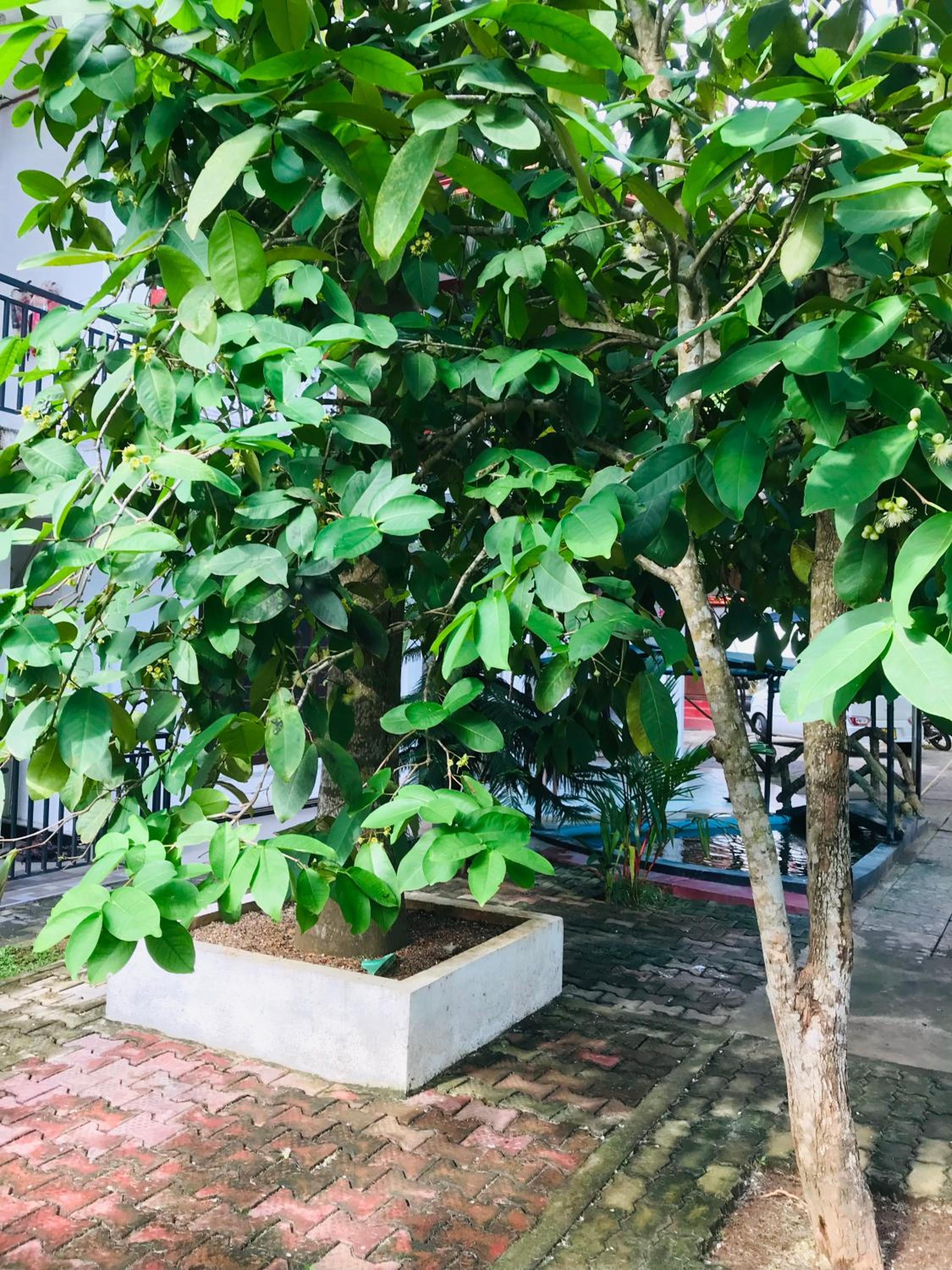 Hotel Deshapriya