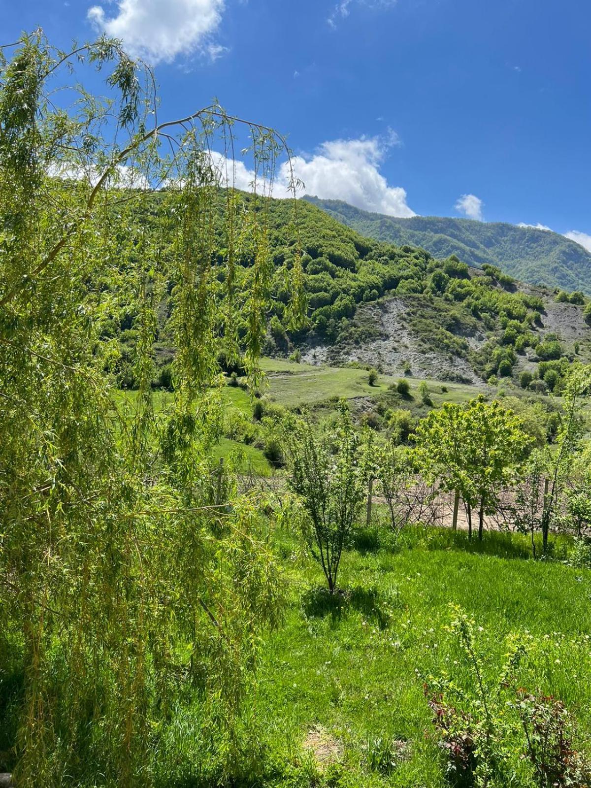 Ismayilli Guest House