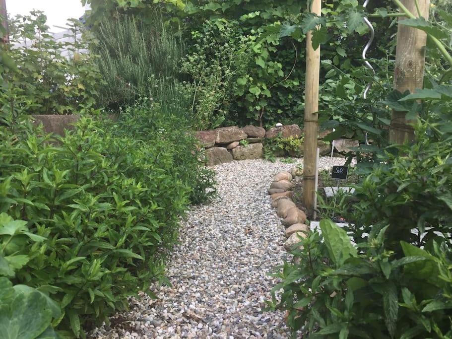 Privat Apartment- Near Strasbourg, Baden Baden