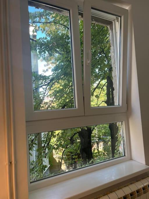 Kopernikova Studio view 4