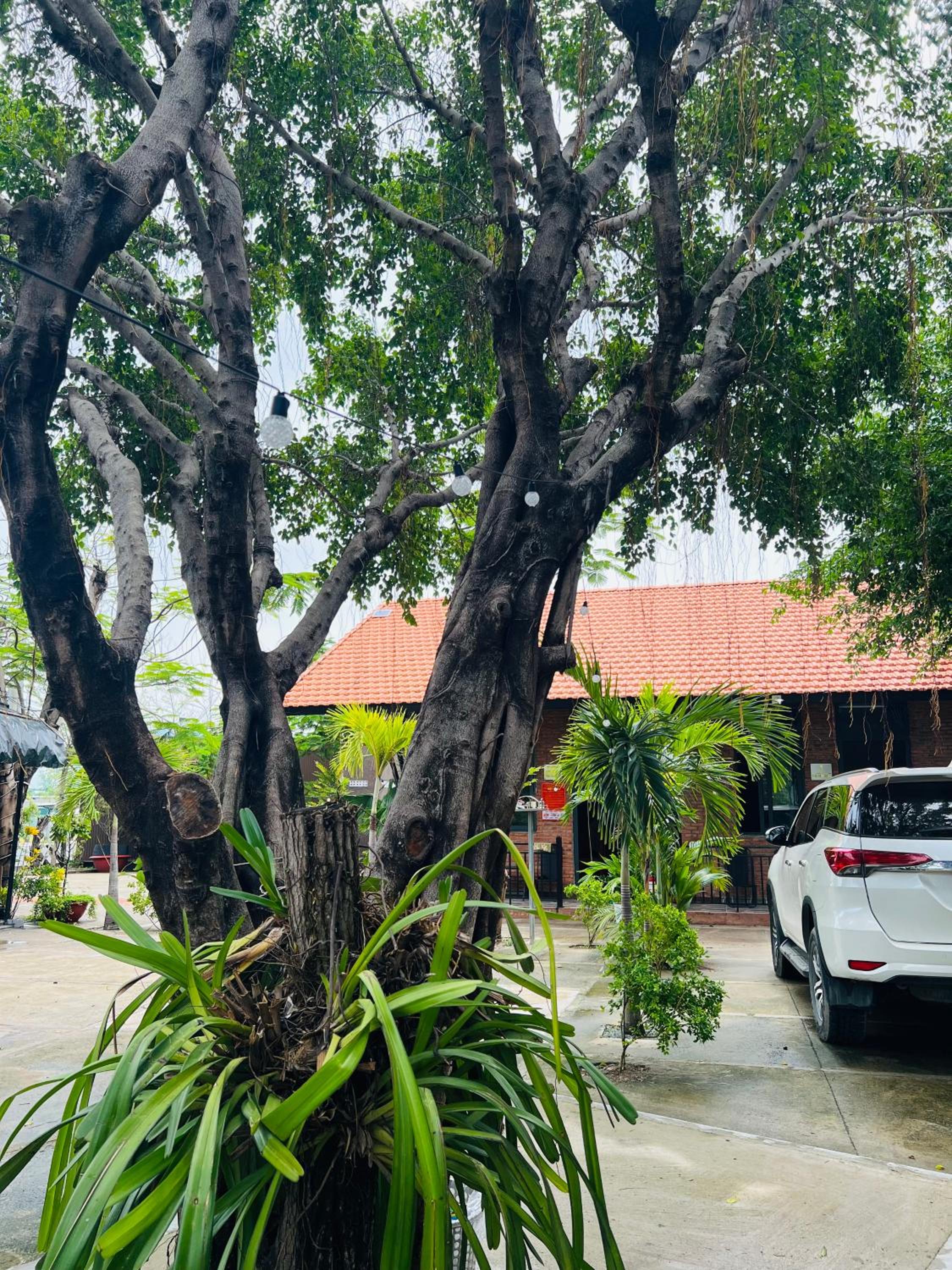 Tùng Thư Garden Hà Tiên view 3