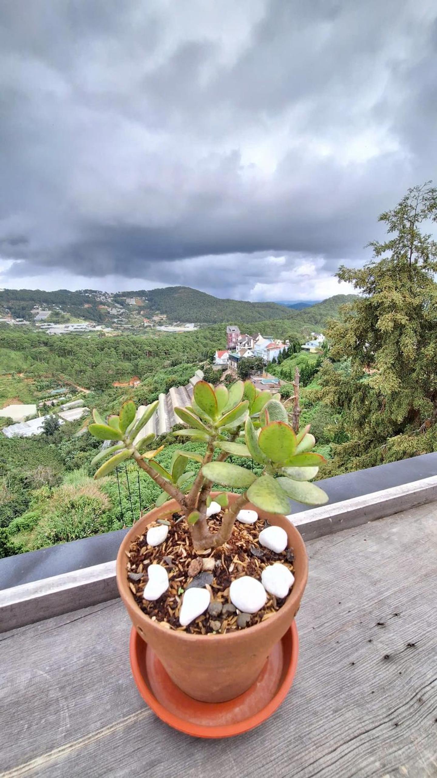 Dalat Harmony Garden