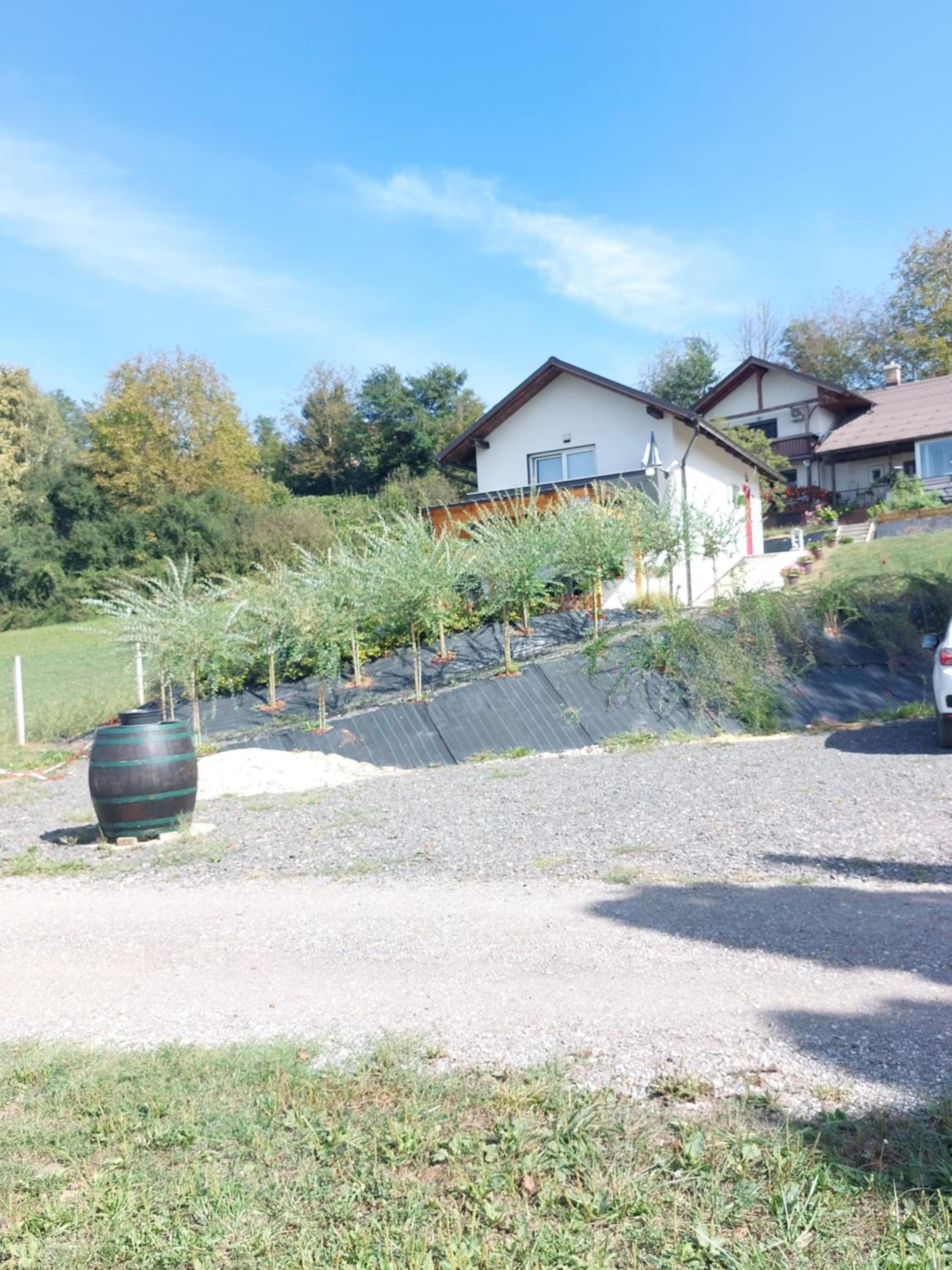Photo 31
