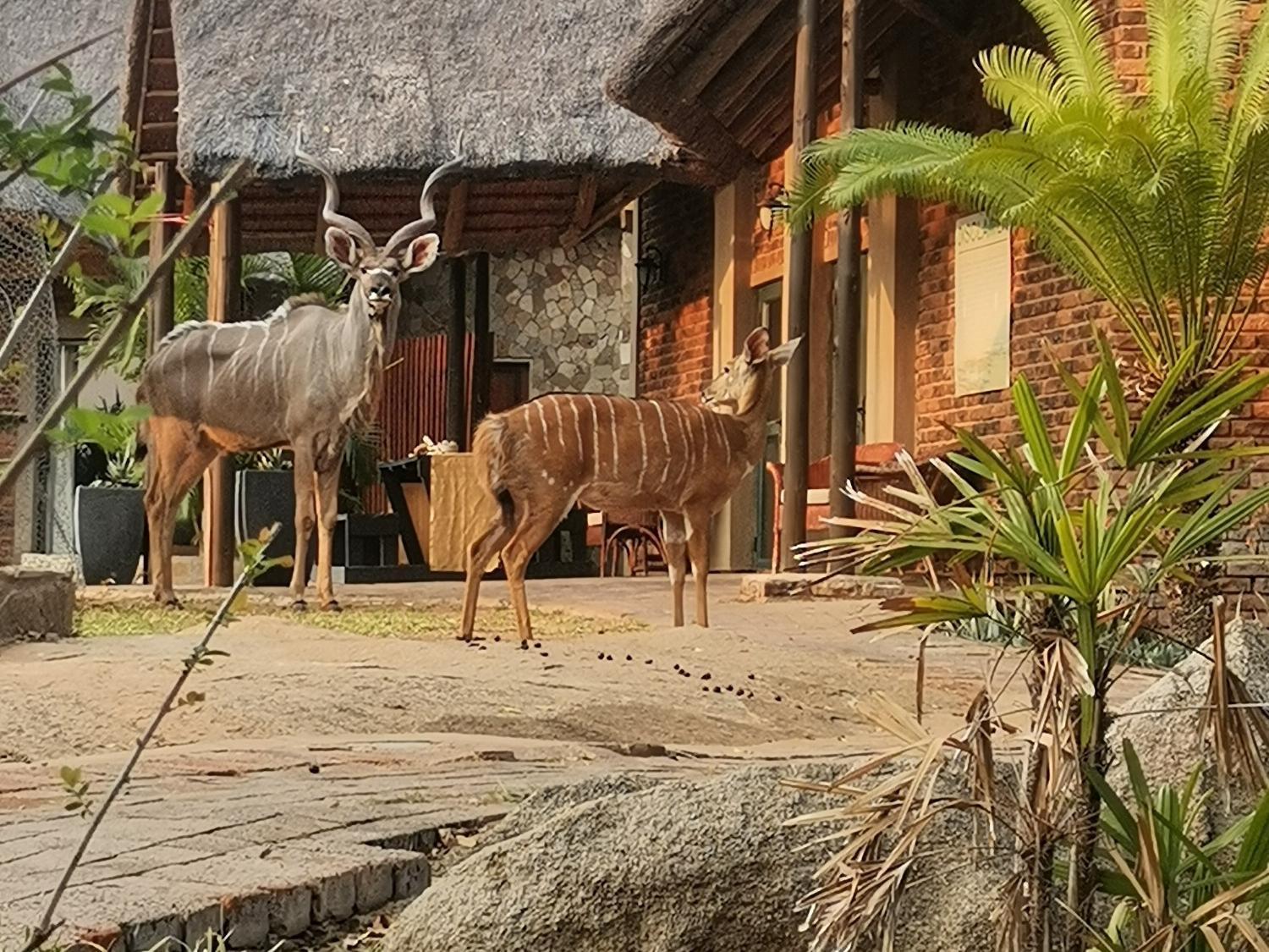 Hoedspruit River Lodge view 2
