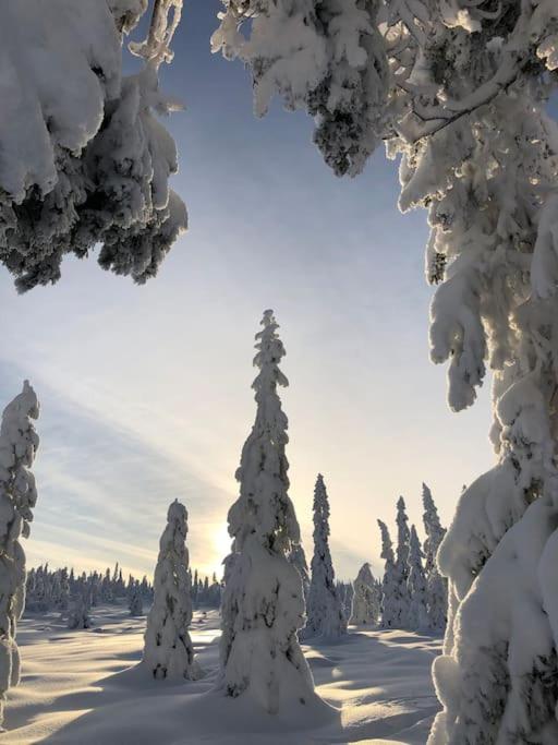Delikat tømmerhytte på Blefjell