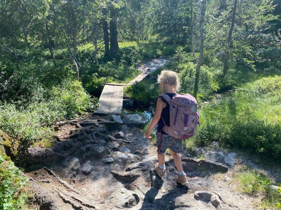 Delikat tømmerhytte på Blefjell
