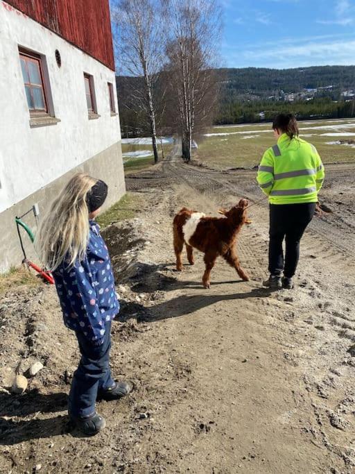 Delikat tømmerhytte på Blefjell