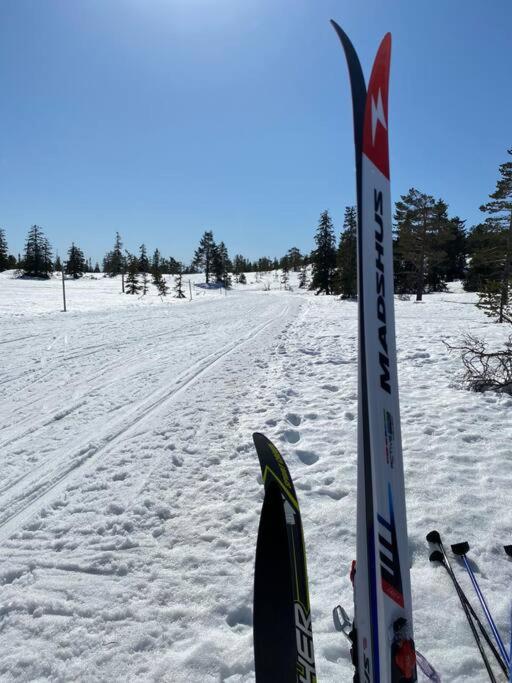 Delikat tømmerhytte på Blefjell