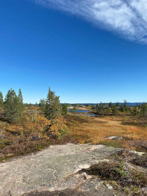 Delikat tømmerhytte på Blefjell