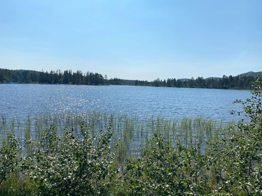 Delikat tømmerhytte på Blefjell