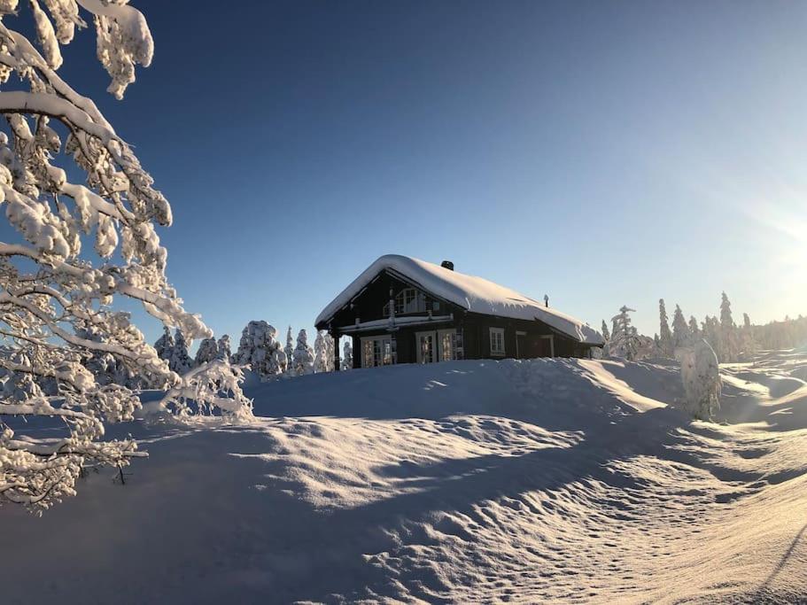 Delikat tømmerhytte på Blefjell