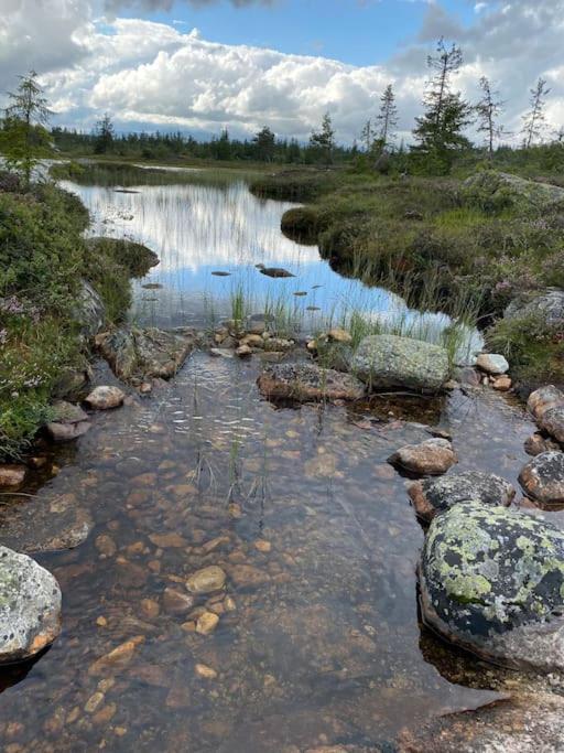 Delikat tømmerhytte på Blefjell