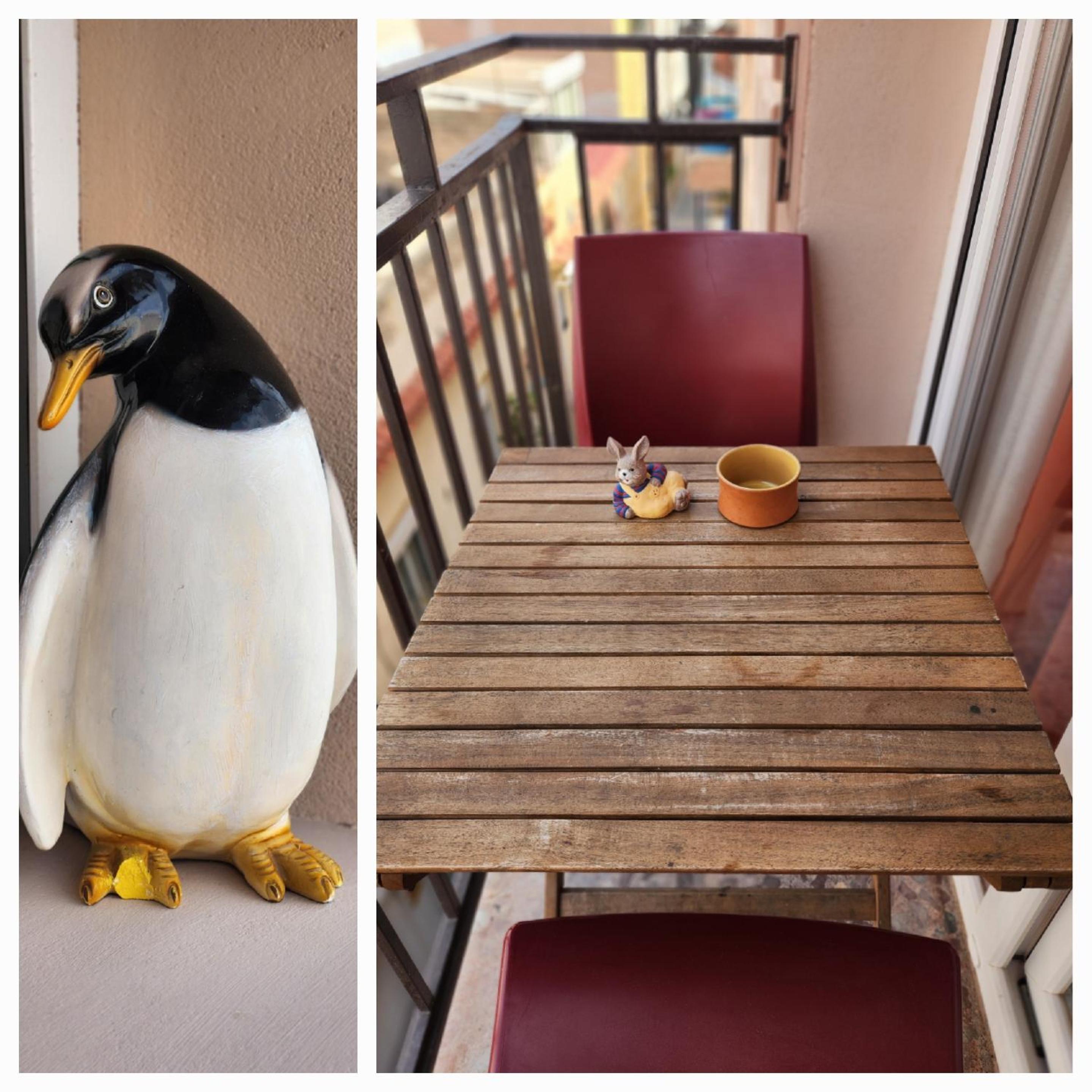 Apartamentos Belladorm