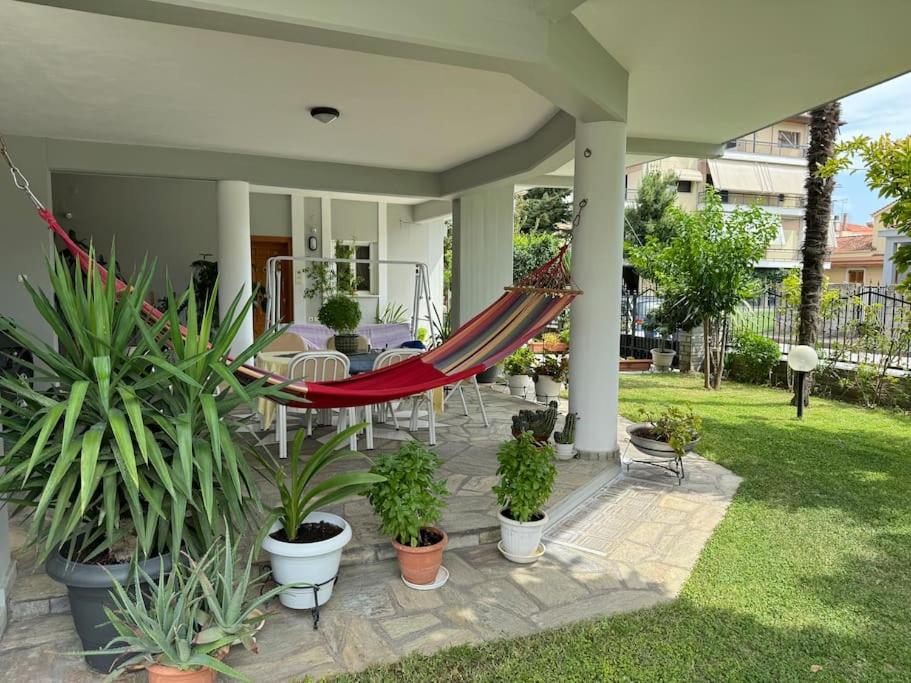Sunny and Spacious Luxury House