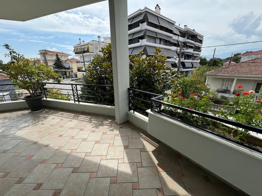 Sunny and Spacious Luxury House photo 3