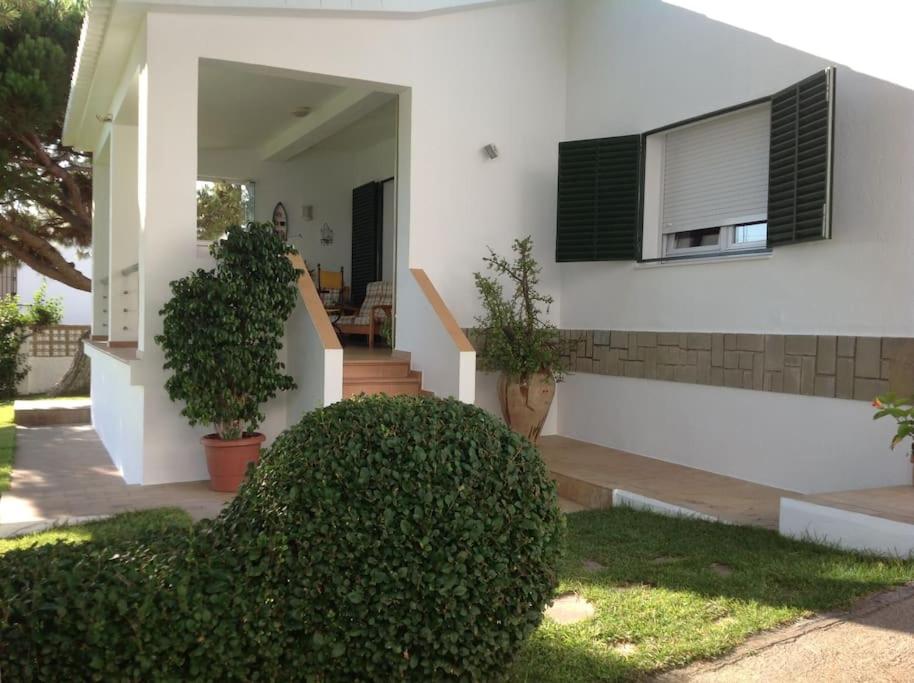 Casa Verde