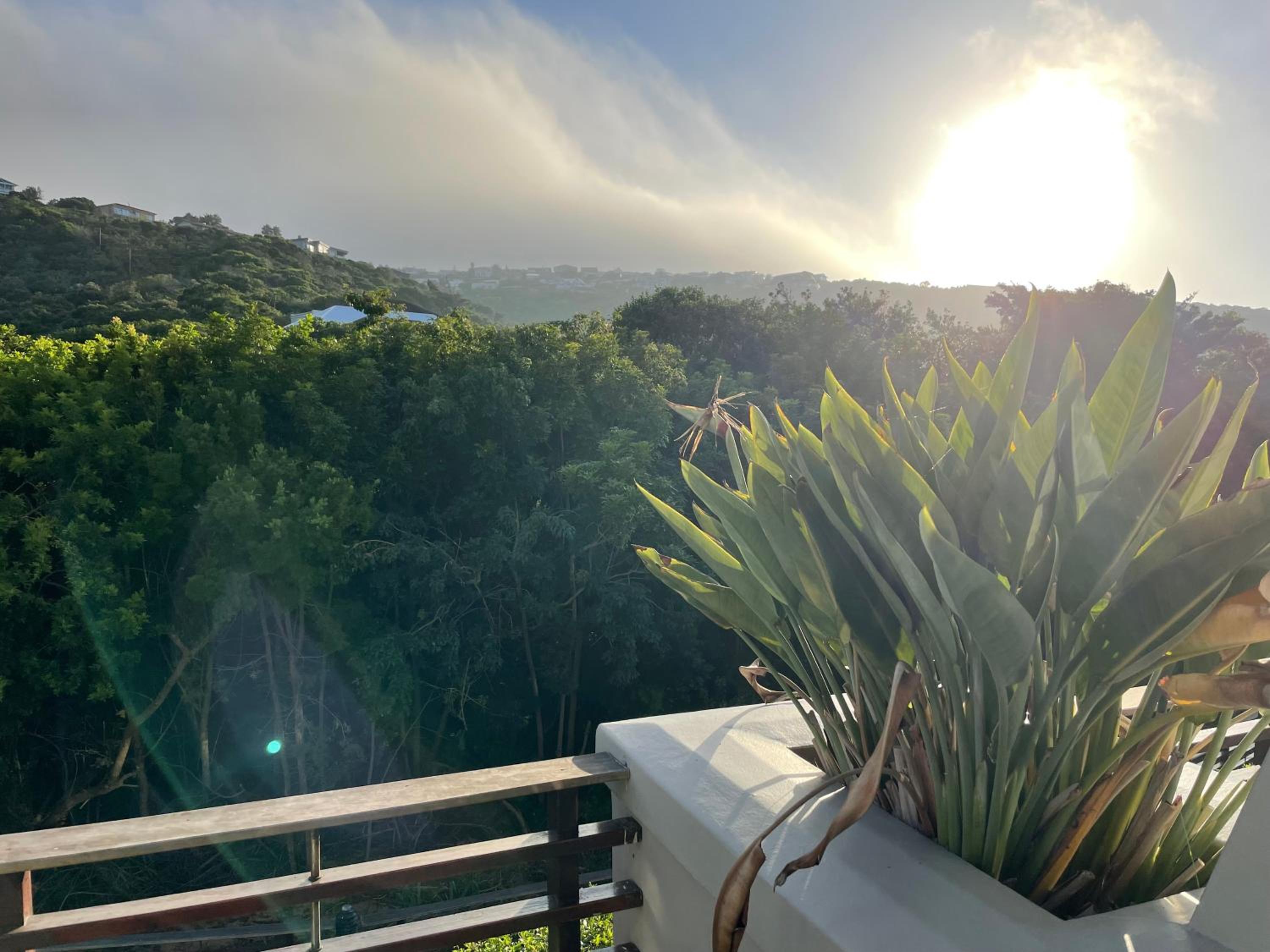 Heroldsbay Apartment 202 view 5