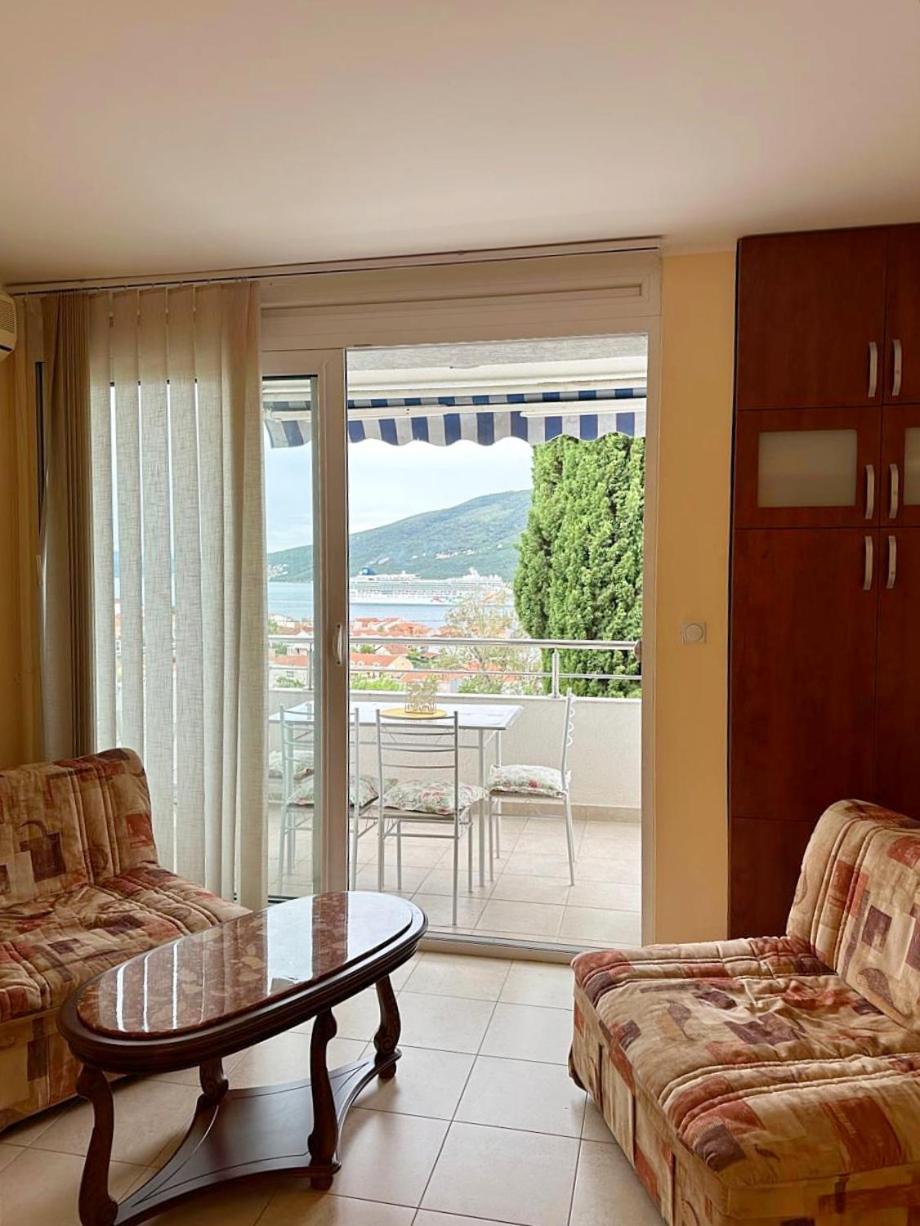 Djenovici Springs APARTMENT view 5