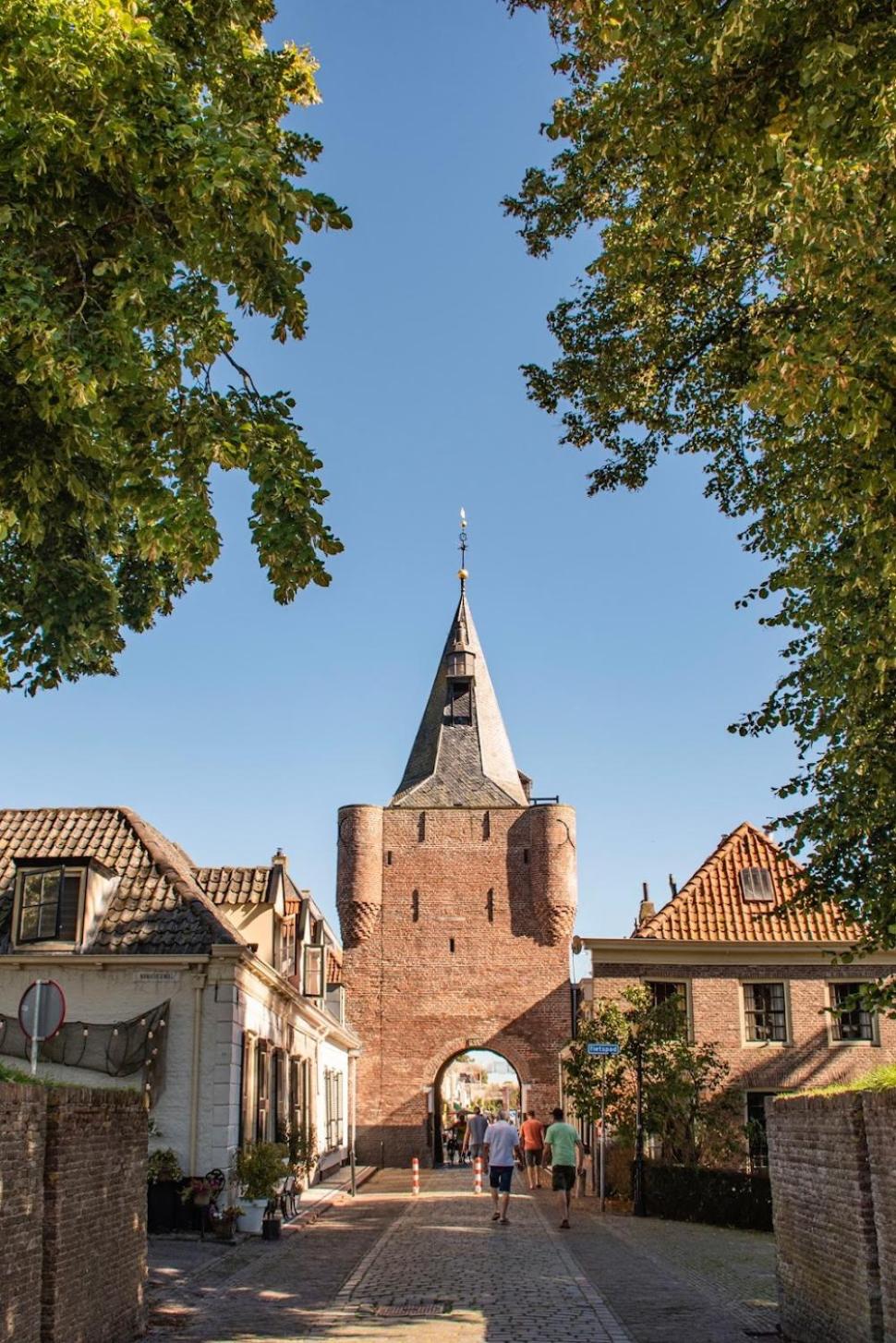 Huismus