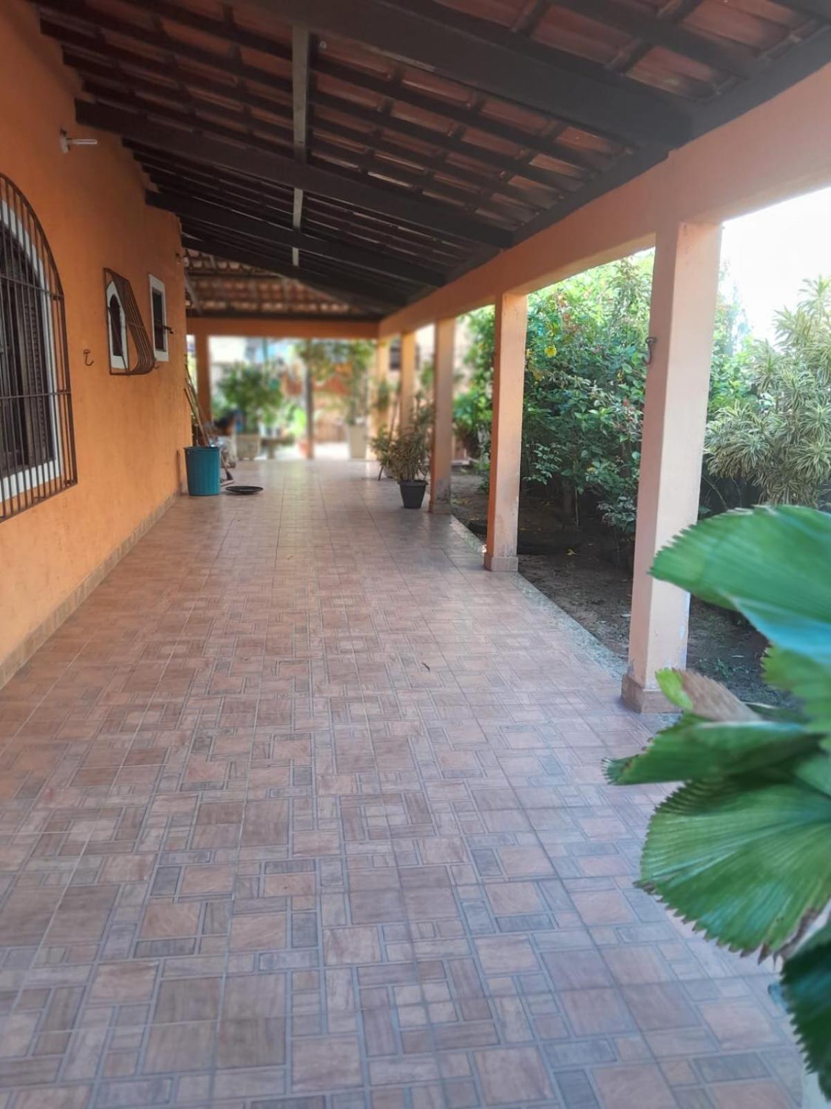 Espaço clorofila
