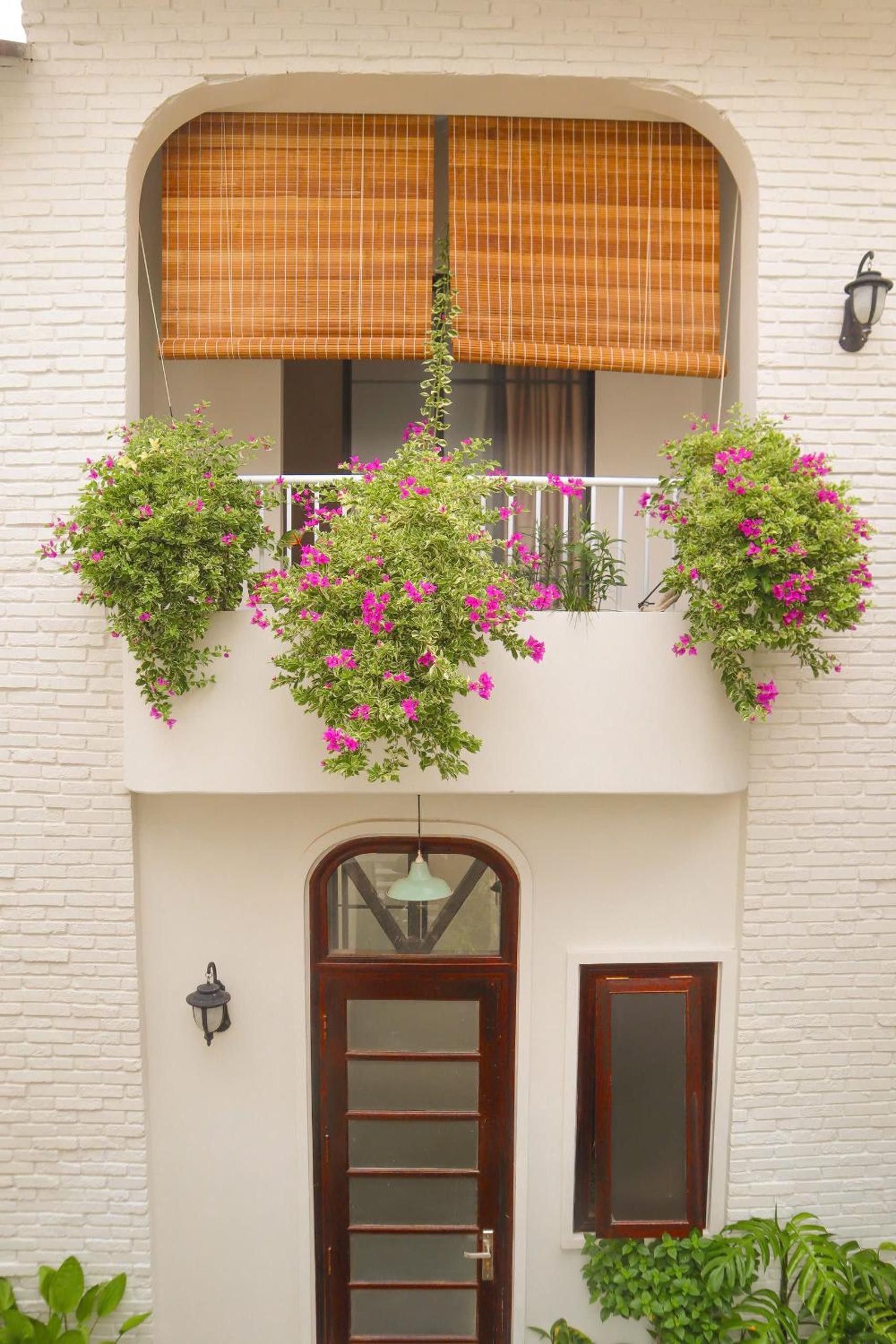 DƯỚI TÁN CÂY homestay view 3
