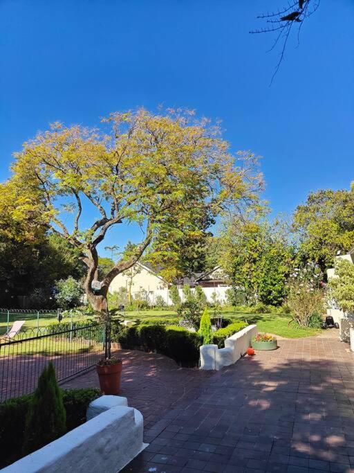 Blessed House Luxury into Nature in Sandton Apartment Home