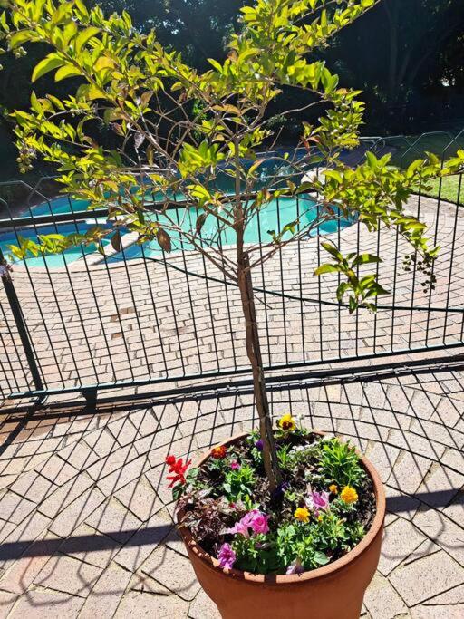 Blessed House Luxury into Nature in Sandton Apartment Home