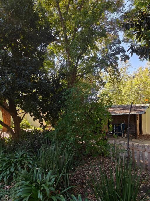 Blessed House Luxury into Nature in Sandton Apartment Home