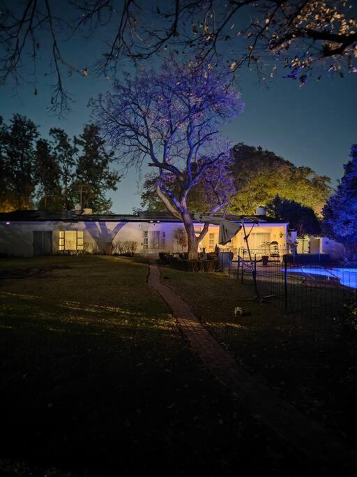 Blessed House Luxury into Nature in Sandton Apartment Home