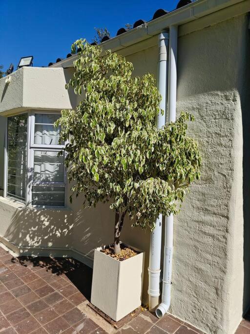 Blessed House Luxury into Nature in Sandton Apartment Home