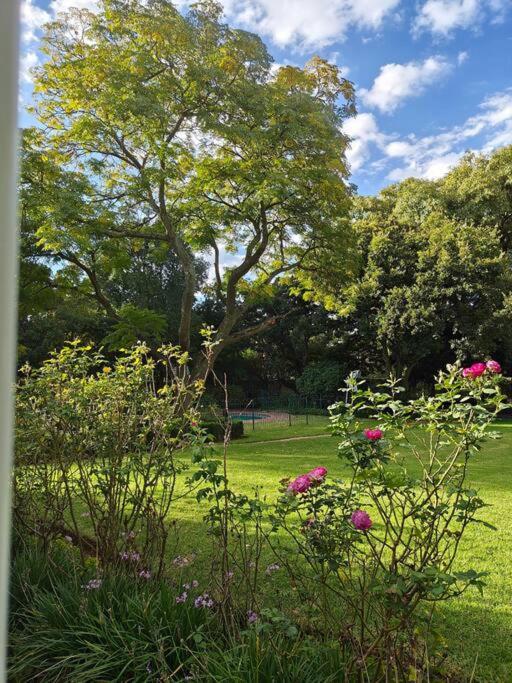 Blessed House Luxury into Nature in Sandton Apartment Home